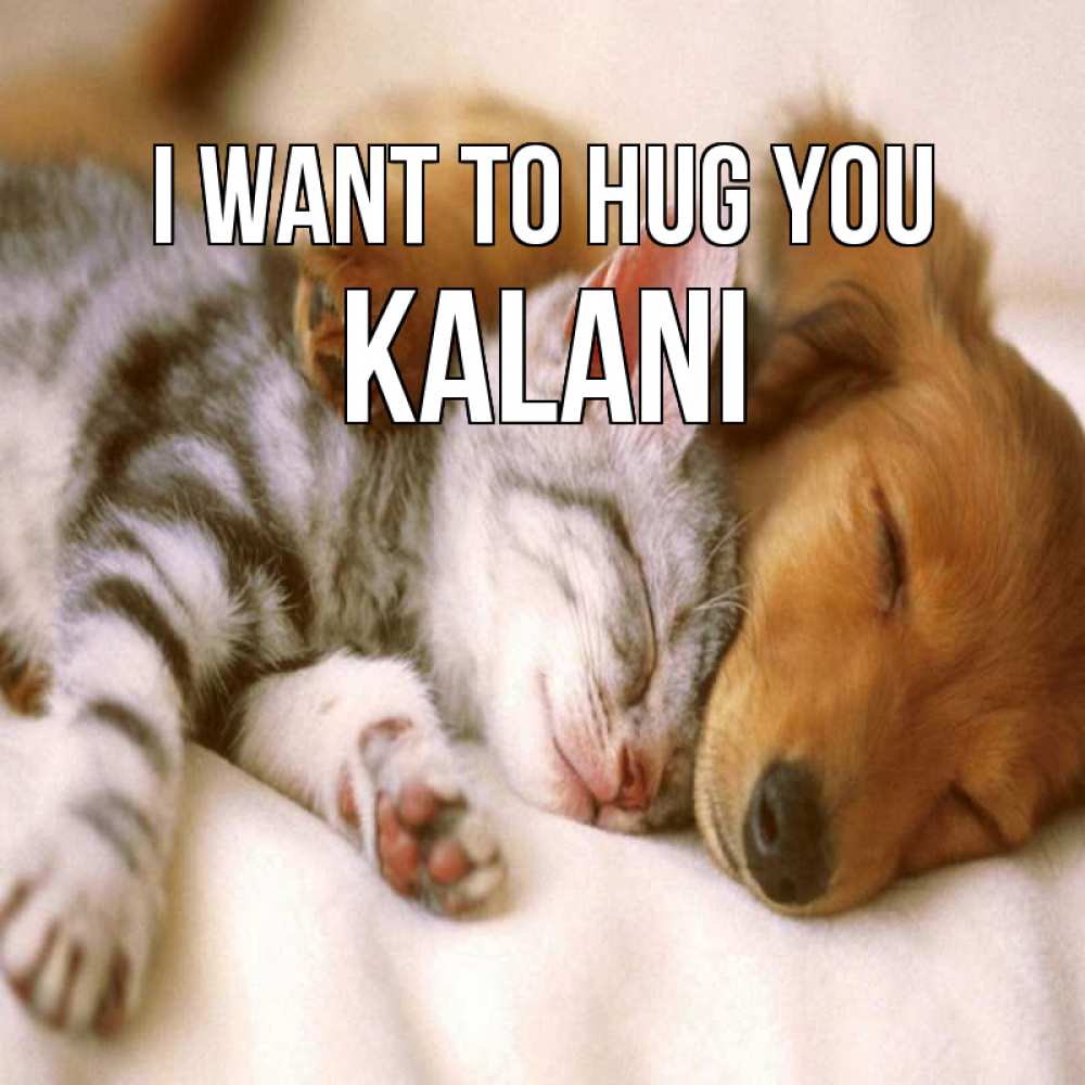 Greetings card с именем, Kalani I want to hug you пес и котенок Greetings with text for free download 