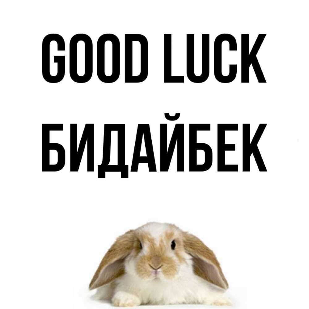 Greetings card с именем, Бидайбек Good luck открытки с произвольным текстом который можно вставить в открытку и создать ее самостоятельно бесплатно онлайн Greetings with text for free download 