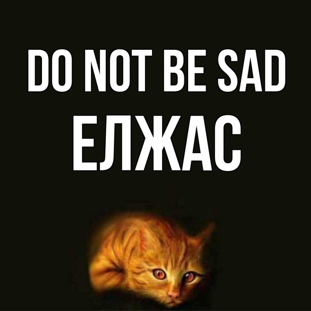 Greetings card с именем, Елжас Do not be sad лежащий кот в темноте Greetings with text for free download 