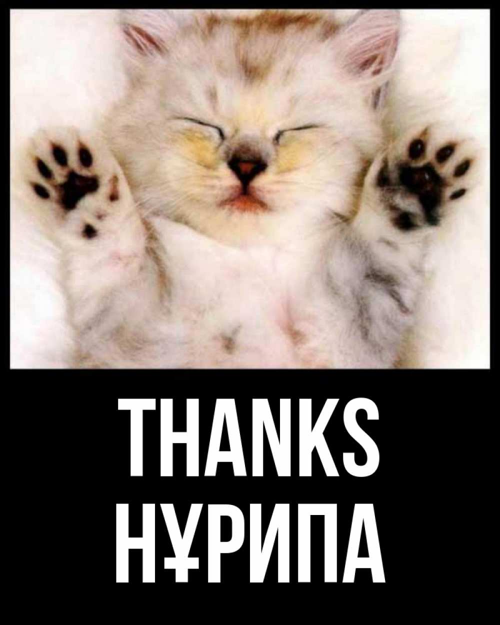Greetings card с именем, НҰРИПА Thanks маленький котенок Greetings with text for free download 