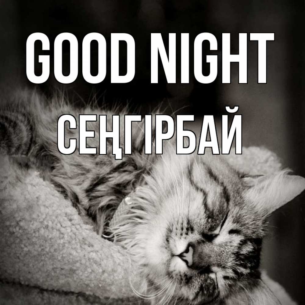 Greetings card с именем, СЕҢГІРБАЙ Good night котярик пушистый Greetings with text for free download 