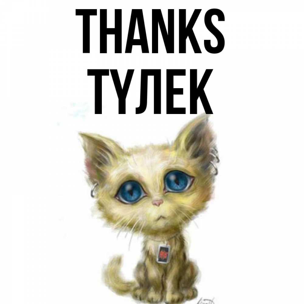 Greetings card с именем, ТҮЛЕК Thanks рисованный кот благодарит вас Greetings with text for free download 