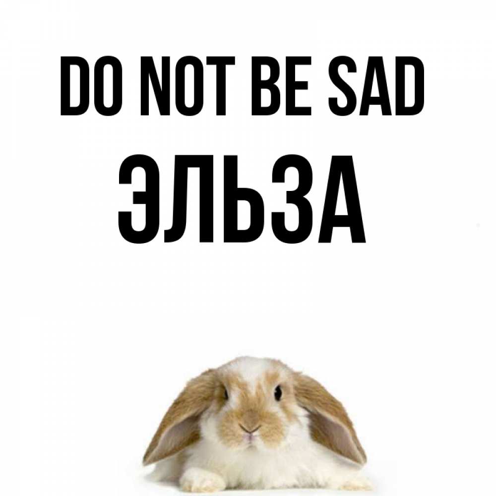 Greetings card с именем, Эльза Do not be sad коричнево белый заяц с большими ушками Greetings with text for free download 