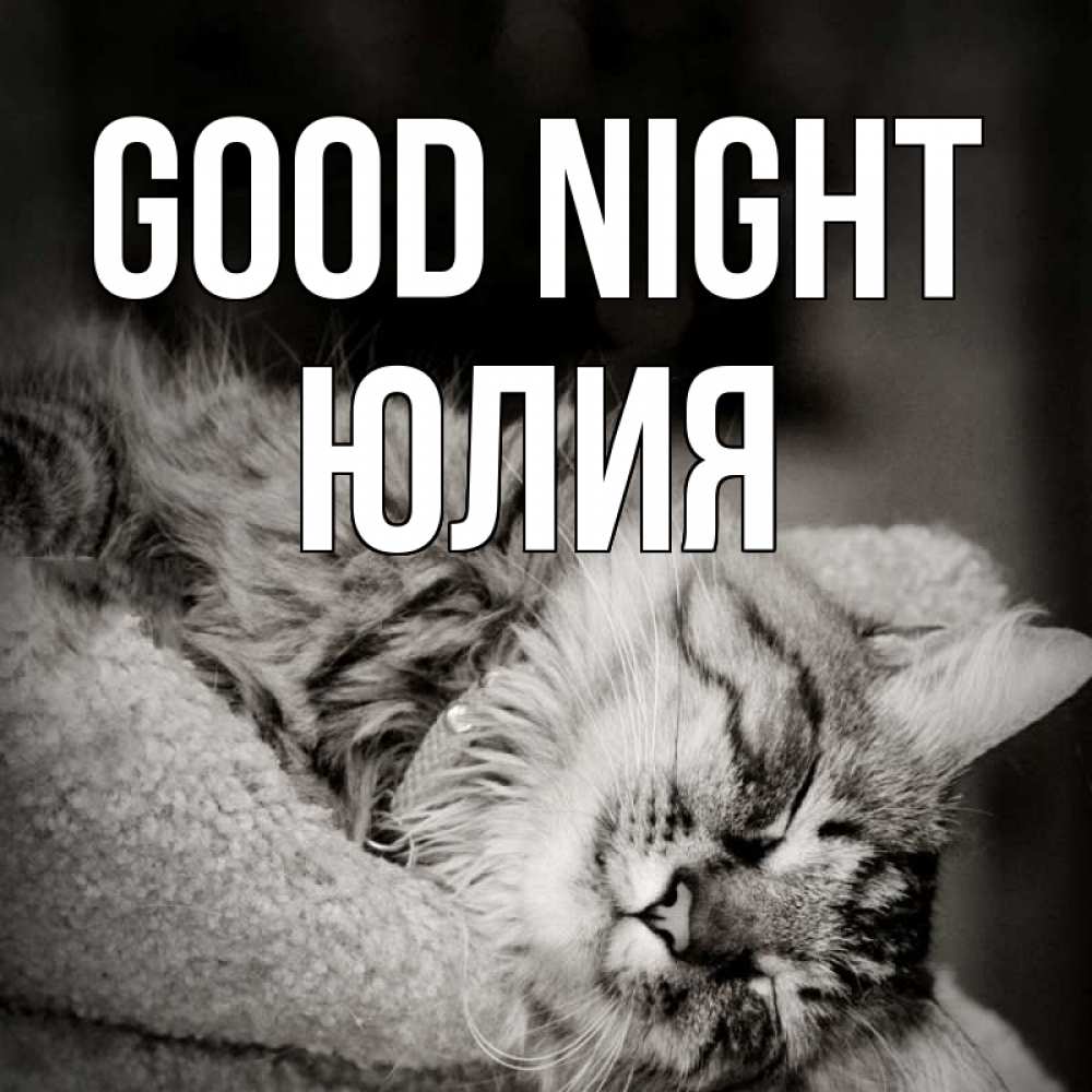 Greetings card с именем, Юлия Good night котярик пушистый Greetings with text for free download 