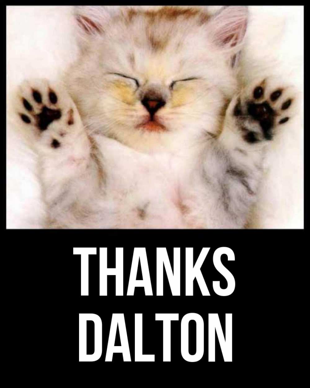 Greetings card с именем, Dalton Thanks маленький котенок Greetings with text for free download 