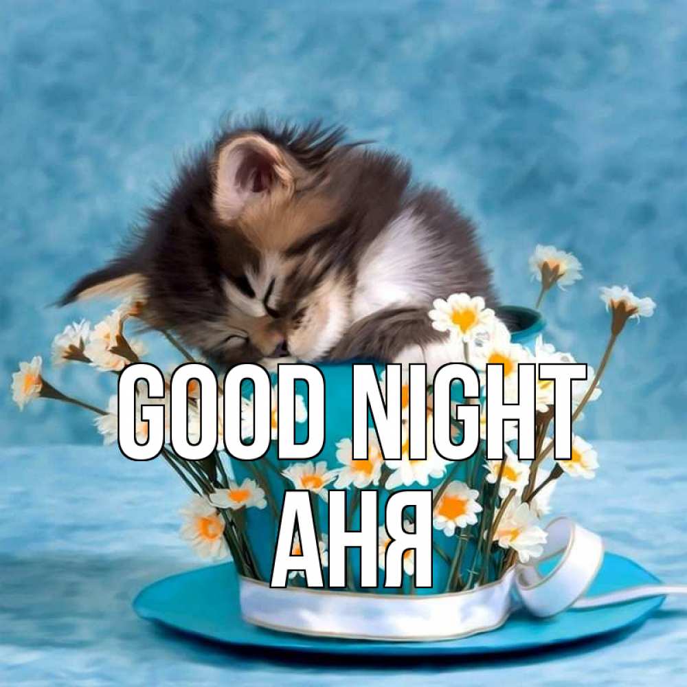 Greetings card с именем, Аня Good night котенок спит в кружке с блюдцем Greetings with text for free download 