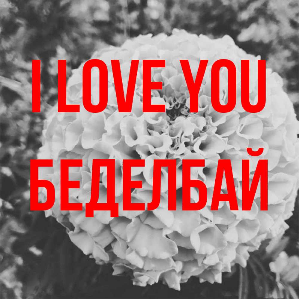 Greetings card с именем, Беделбай I love you подпись Greetings with text for free download 