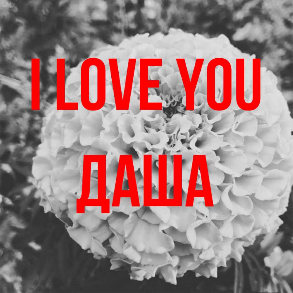 Greetings card с именем, Даша I love you подпись Greetings with text for free download 