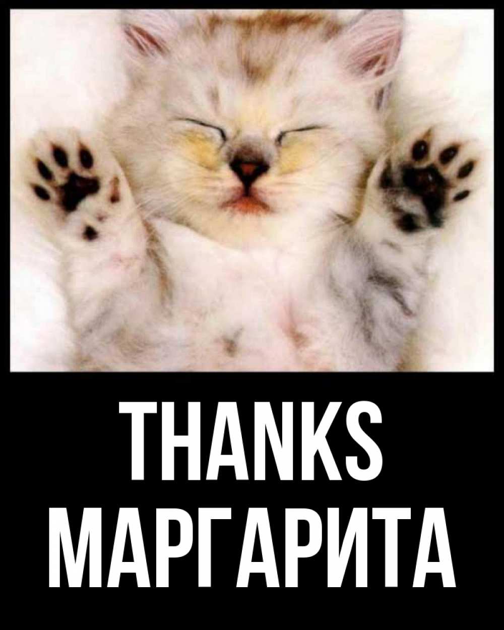 Greetings card с именем, Маргарита Thanks маленький котенок Greetings with text for free download 