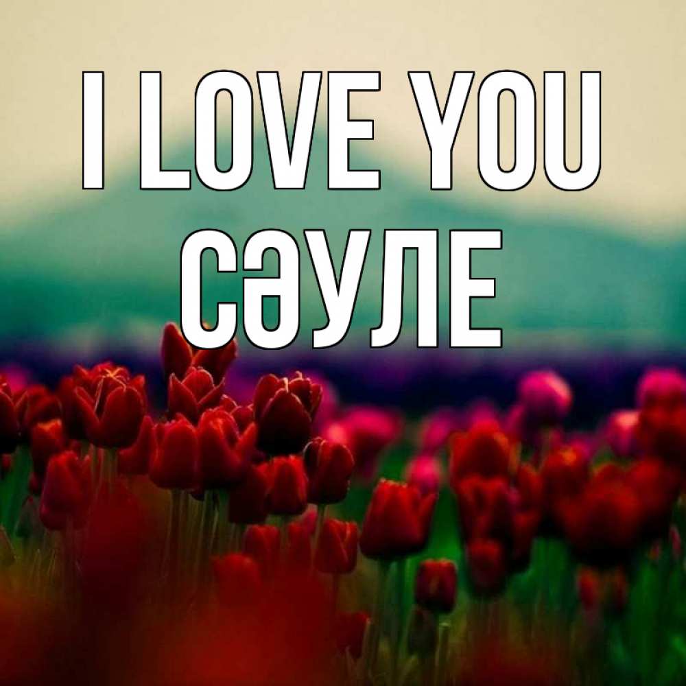 Greetings card с именем, СӘУЛЕ I love you тюльпаны 4 Greetings with text for free download 