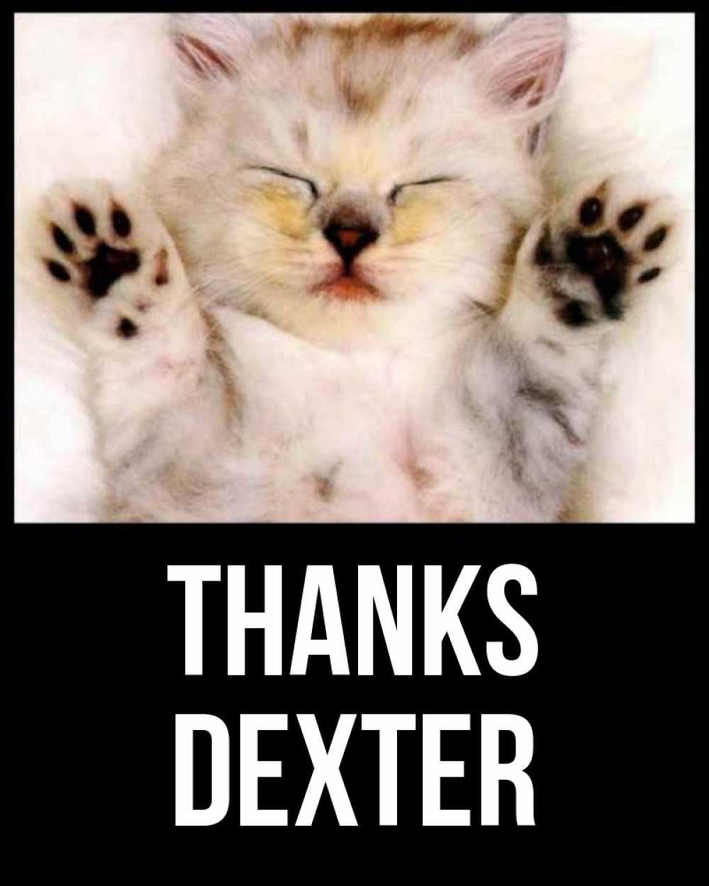 Greetings card с именем, Dexter Thanks маленький котенок Greetings with text for free download 