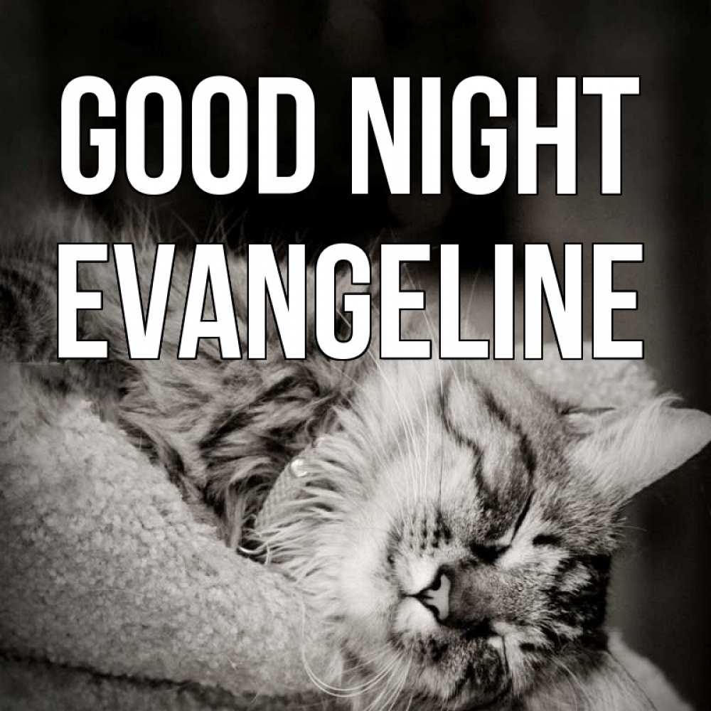 Greetings card с именем, Evangeline Good night котярик пушистый Greetings with text for free download 