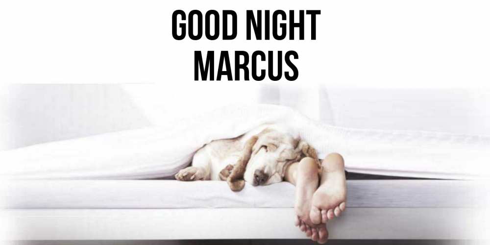 Greetings card с именем, Marcus Good night кровать с собакой пожелание сладких снов и спокойной ночи Greetings with text for free download 