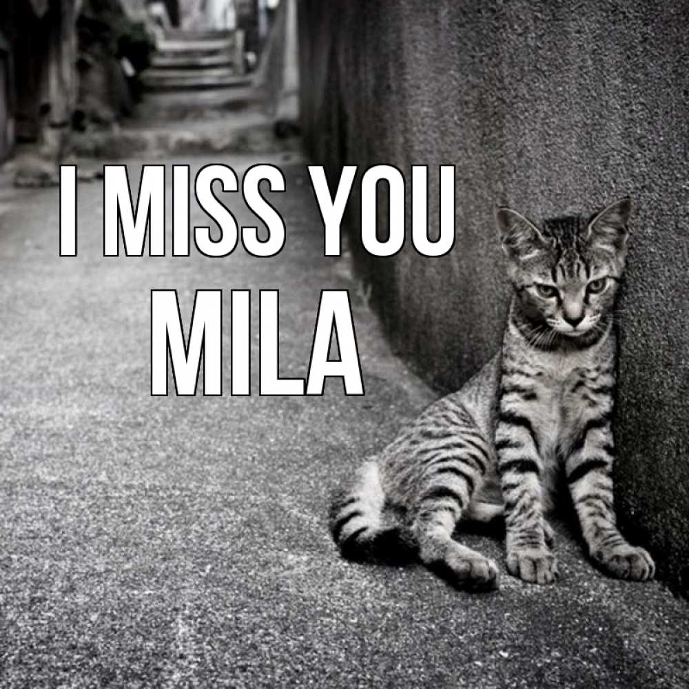 Greetings card с именем, Mila I miss you одиноко котику Greetings with text for free download 