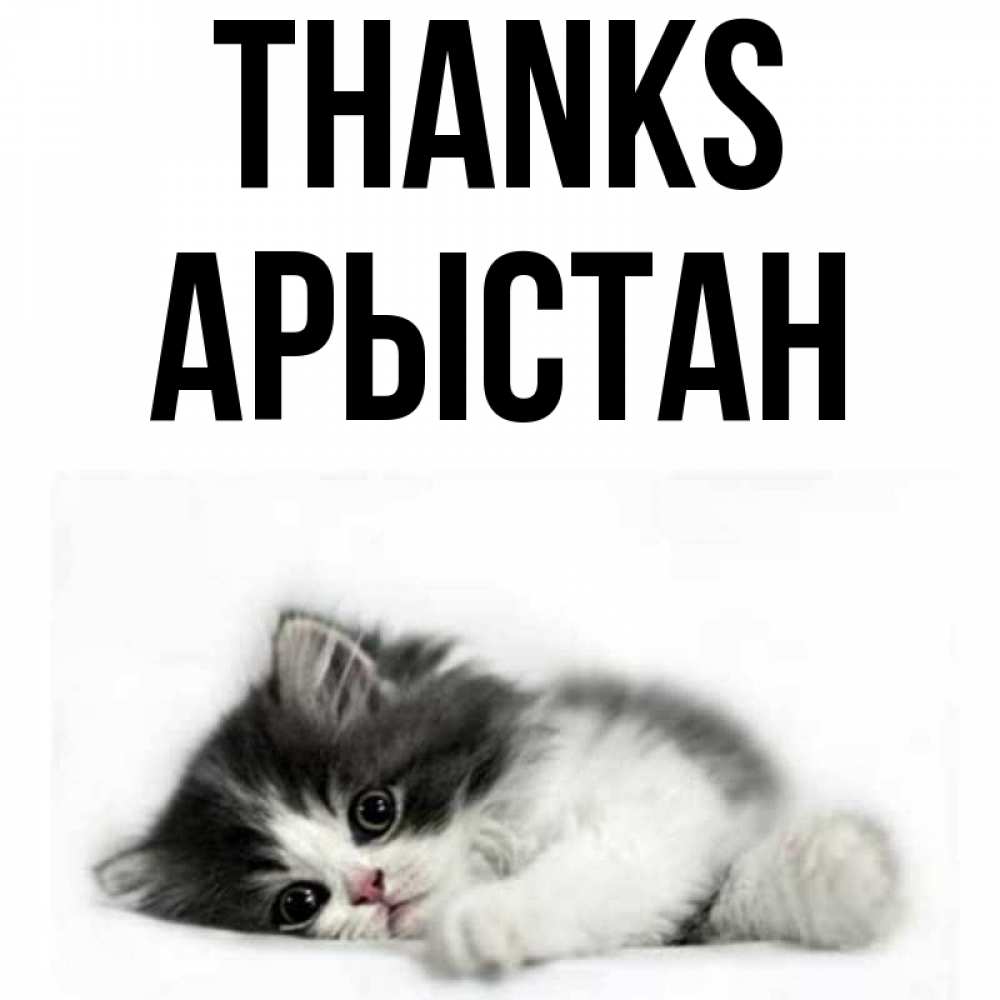 Greetings card с именем, Арыстан Thanks черный и белый кот Greetings with text for free download 