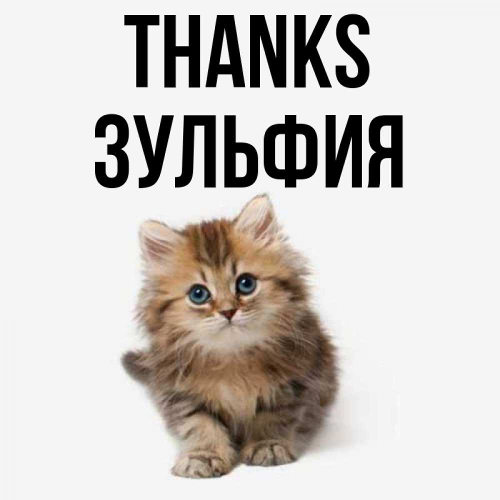 Greetings card с именем, Зульфия Thanks пушистый котик Greetings with text for free download 