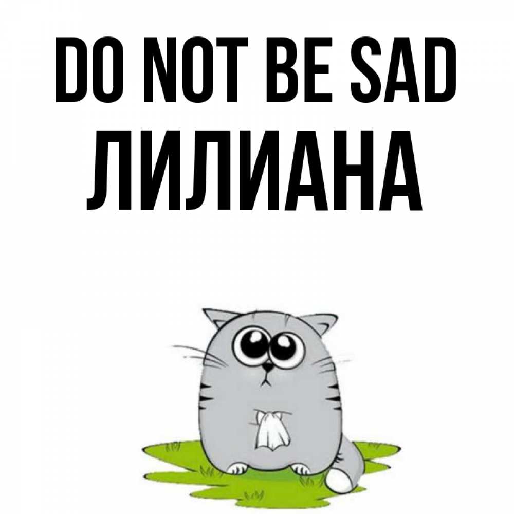 Greetings card с именем, Лилиана Do not be sad грустный котяра Greetings with text for free download 