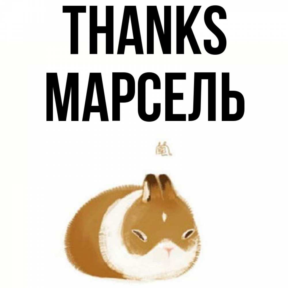 Greetings card с именем, Марсель Thanks коричнево белый домашний питомец Greetings with text for free download 