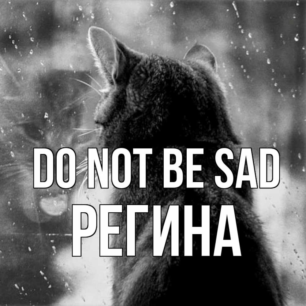 Greetings card с именем, Регина Do not be sad отражение кота 1 Greetings with text for free download 