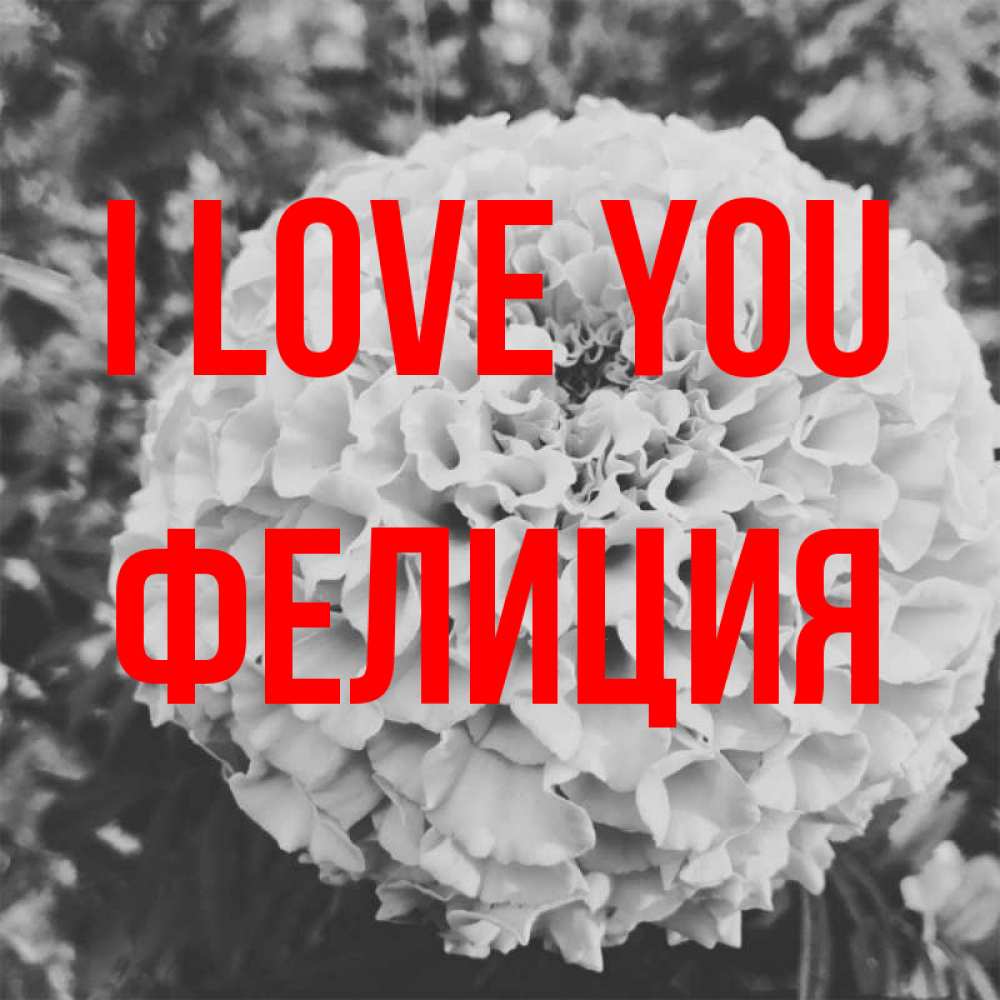 Greetings card с именем, Фелиция I love you подпись Greetings with text for free download 