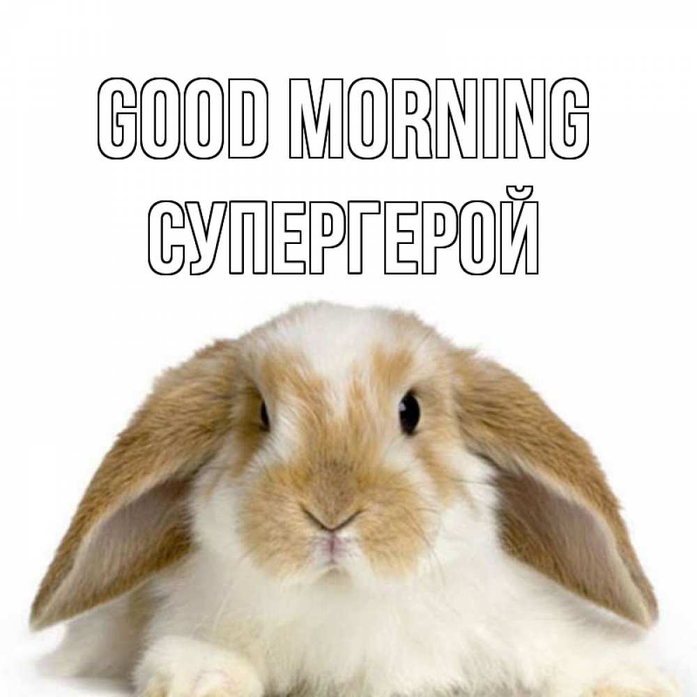 Greetings card с именем, Супергерой Good morning прикольные открытки на каждый день Greetings with text for free download 