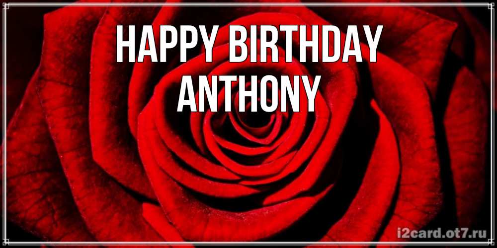 Greetings card с именем, Anthony Happy Birthday алая роза Greetings with text for free download 
