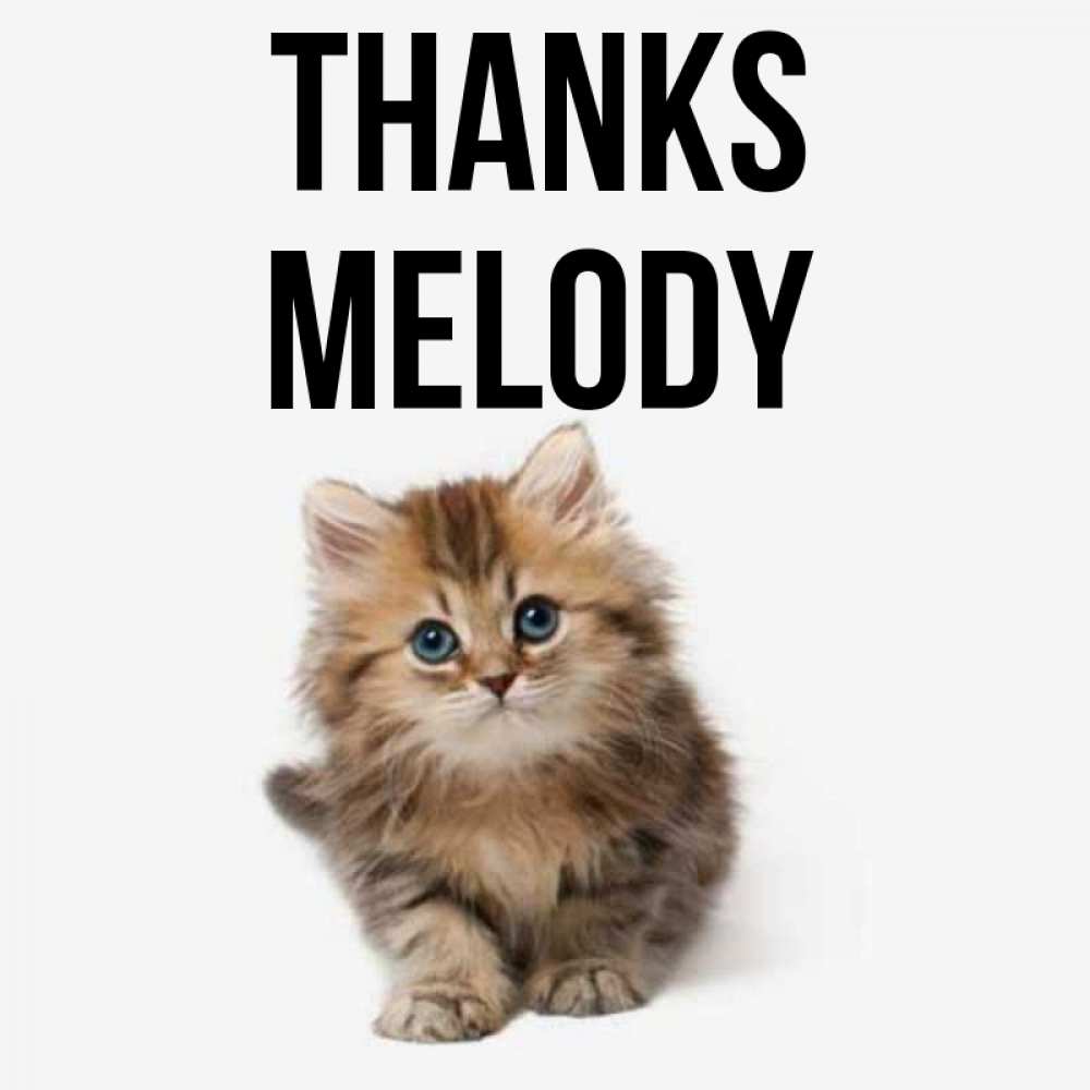 Greetings card с именем, Melody Thanks пушистый котик Greetings with text for free download 