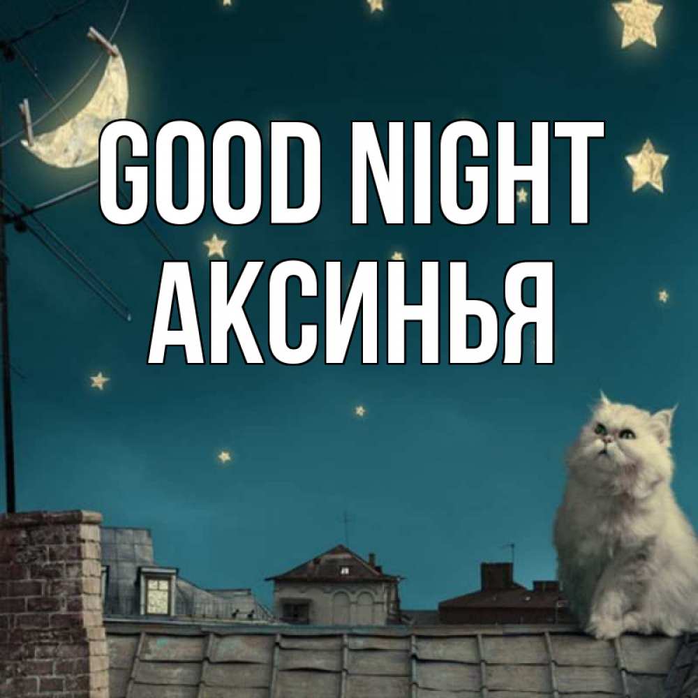 Greetings card с именем, Аксинья Good night белый кот сидит на крыше Greetings with text for free download 