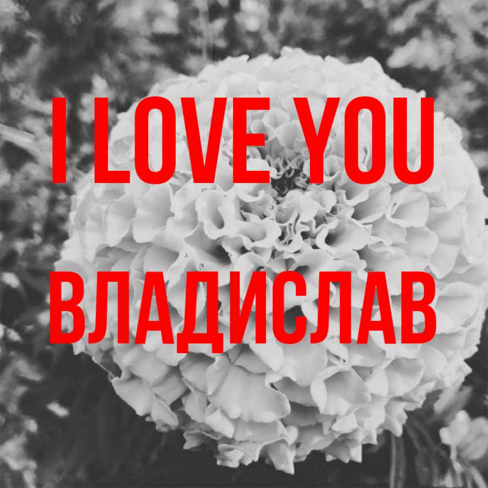 Greetings card с именем, Владислав I love you подпись Greetings with text for free download 