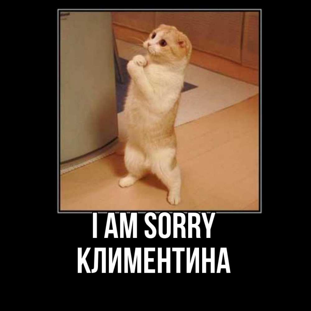 Greetings card с именем, Климентина I am sorry открытка с милым несчастным котиком просящим прощения Greetings with text for free download 