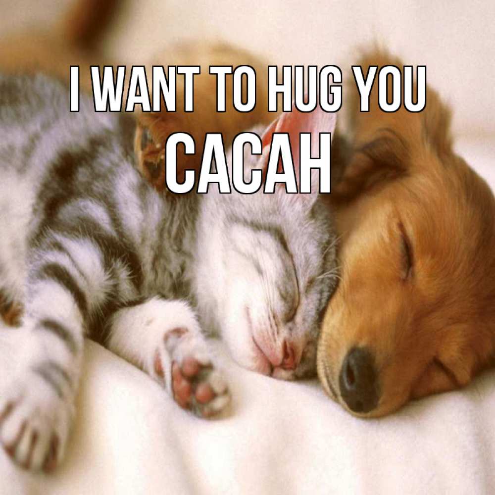 Greetings card с именем, САСАН I want to hug you пес и котенок Greetings with text for free download 