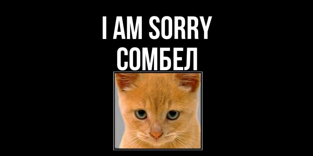 Greetings card с именем, СОМБЕЛ I am sorry рыжий грустный кот просит прощения Greetings with text for free download 