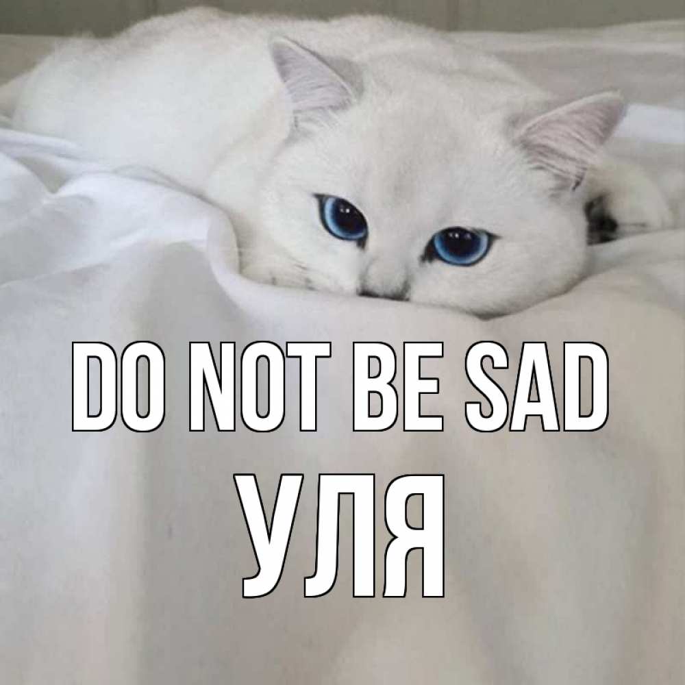 Greetings card с именем, Уля Do not be sad белый кот с голубыми глазами на белоснежной кровати Greetings with text for free download 