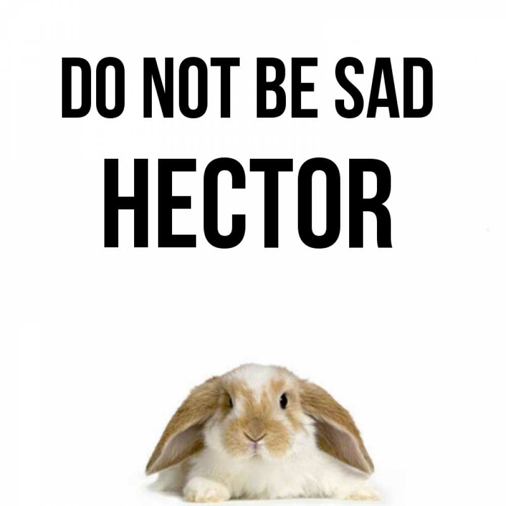 Greetings card с именем, Hector Do not be sad коричнево белый заяц с большими ушками Greetings with text for free download 