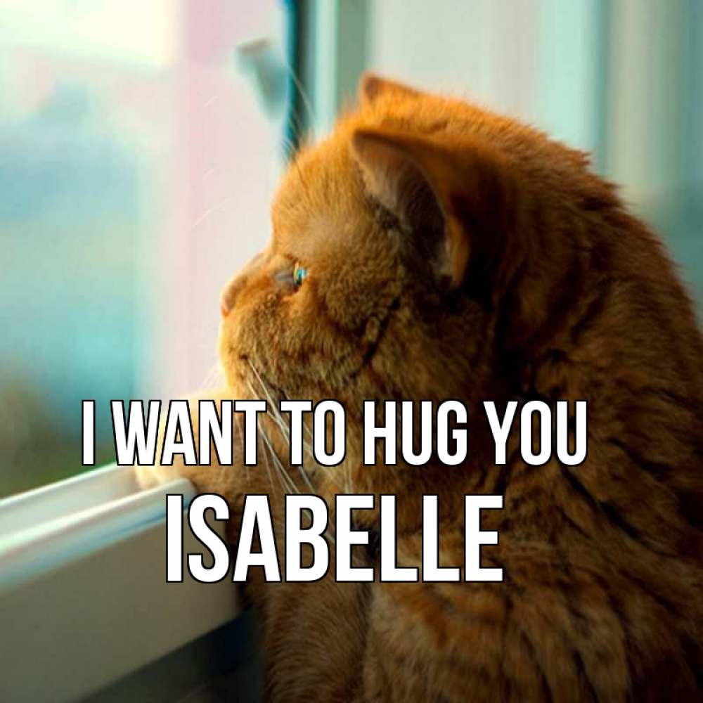 Greetings card с именем, Isabelle I want to hug you большой огромный рыжий котяра Greetings with text for free download 
