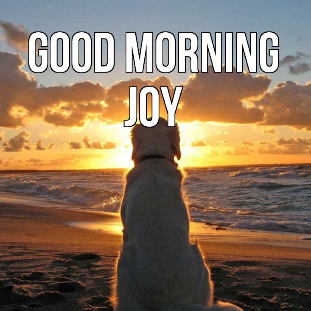 Greetings card с именем, Joy Good morning восход солнца Greetings with text for free download 