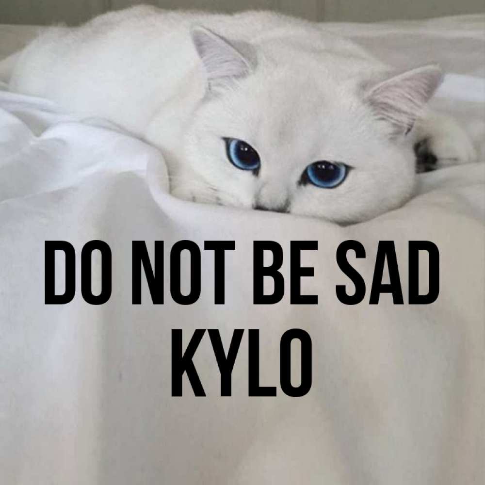 Greetings card с именем, Kylo Do not be sad Голубоглазая кошка Greetings with text for free download 