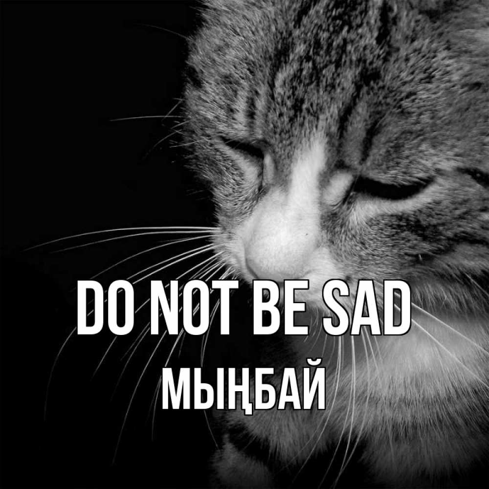 Greetings card с именем, МЫҢБАЙ Do not be sad грустный котик Greetings with text for free download 