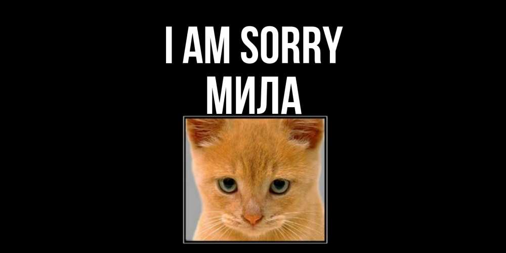 Greetings card с именем, Мила I am sorry рыжий грустный кот просит прощения Greetings with text for free download 