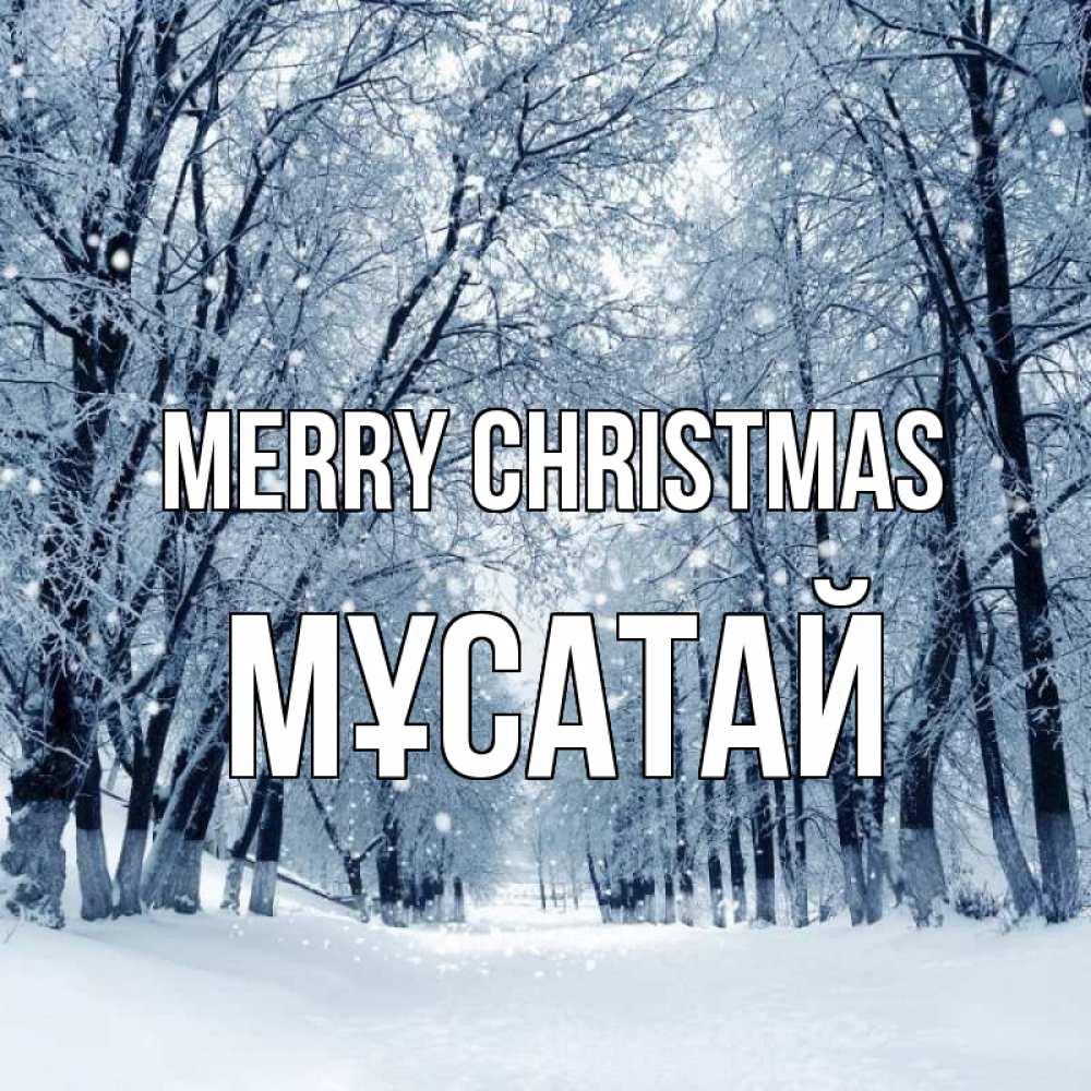 Greetings card с именем, Мұсатай Merry Christmas снег, лес, парк Greetings with text for free download 