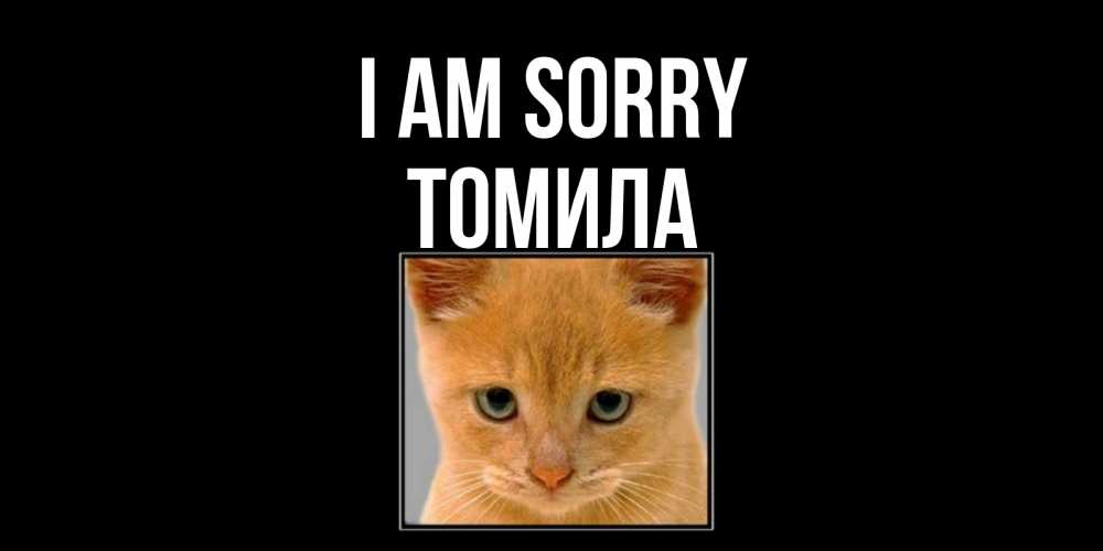 Greetings card с именем, Томила I am sorry рыжий грустный кот просит прощения Greetings with text for free download 