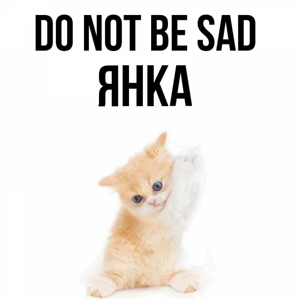 Greetings card с именем, Янка Do not be sad просящий кот Greetings with text for free download 