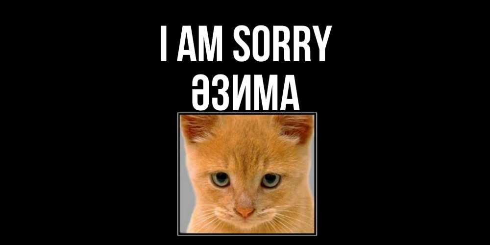 Greetings card с именем, ӘЗИМА I am sorry рыжий грустный кот просит прощения Greetings with text for free download 