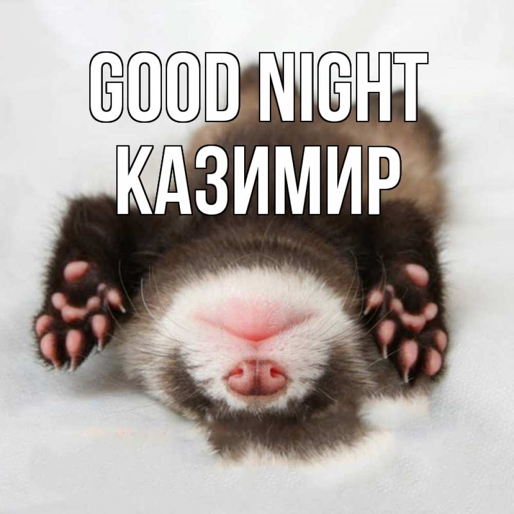 Greetings card с именем, Казимир Good night зверек Greetings with text for free download 