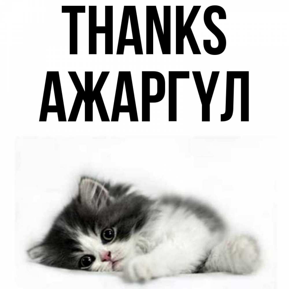 Greetings card с именем, АЖАРГҮЛ Thanks черный и белый кот Greetings with text for free download 