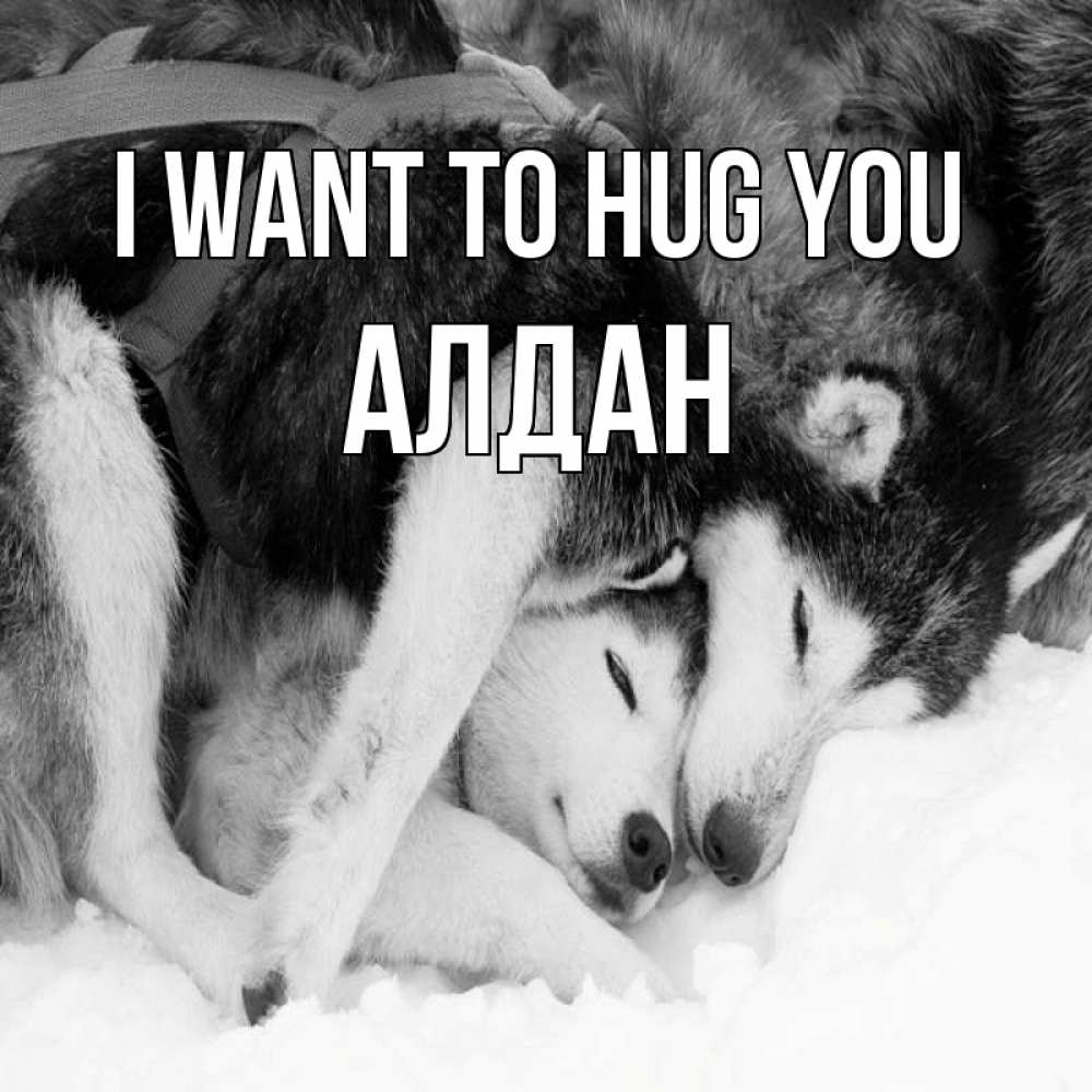Greetings card с именем, Алдан I want to hug you собачки в упряжке Greetings with text for free download 