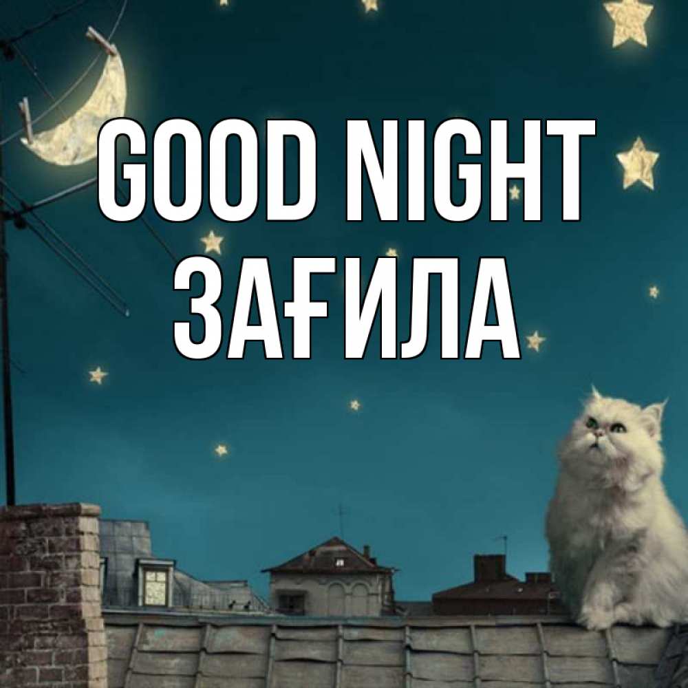 Greetings card с именем, ЗАҒИЛА Good night белый кот сидит на крыше Greetings with text for free download 