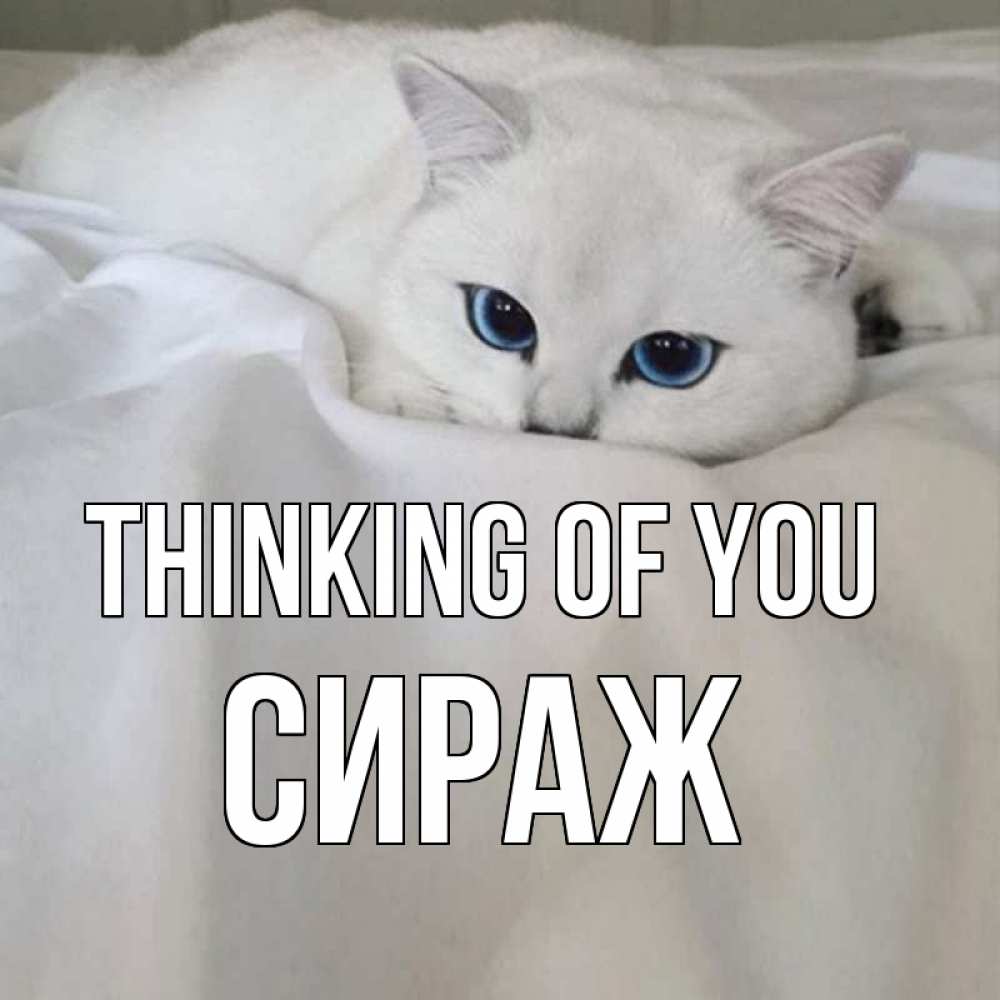 Greetings card с именем, СИРАЖ Thinking of you я очень по тебе скучаю и тоскую Greetings with text for free download 