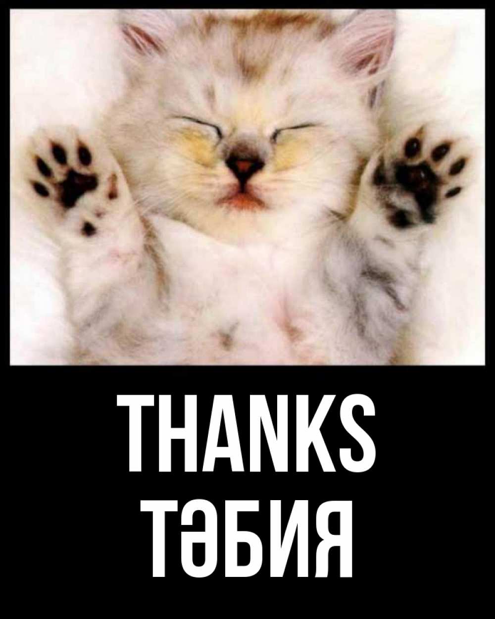 Greetings card с именем, ТӘБИЯ Thanks маленький котенок Greetings with text for free download 
