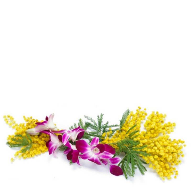 Открытка весенние цветы 1 открытка на международный женский день с цветами  1 happy spring 